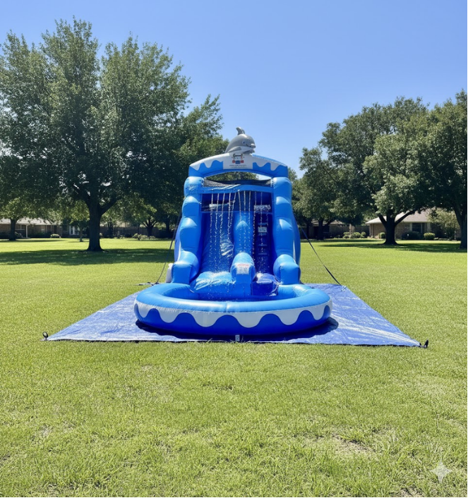 DOLPHIN BOUNCY